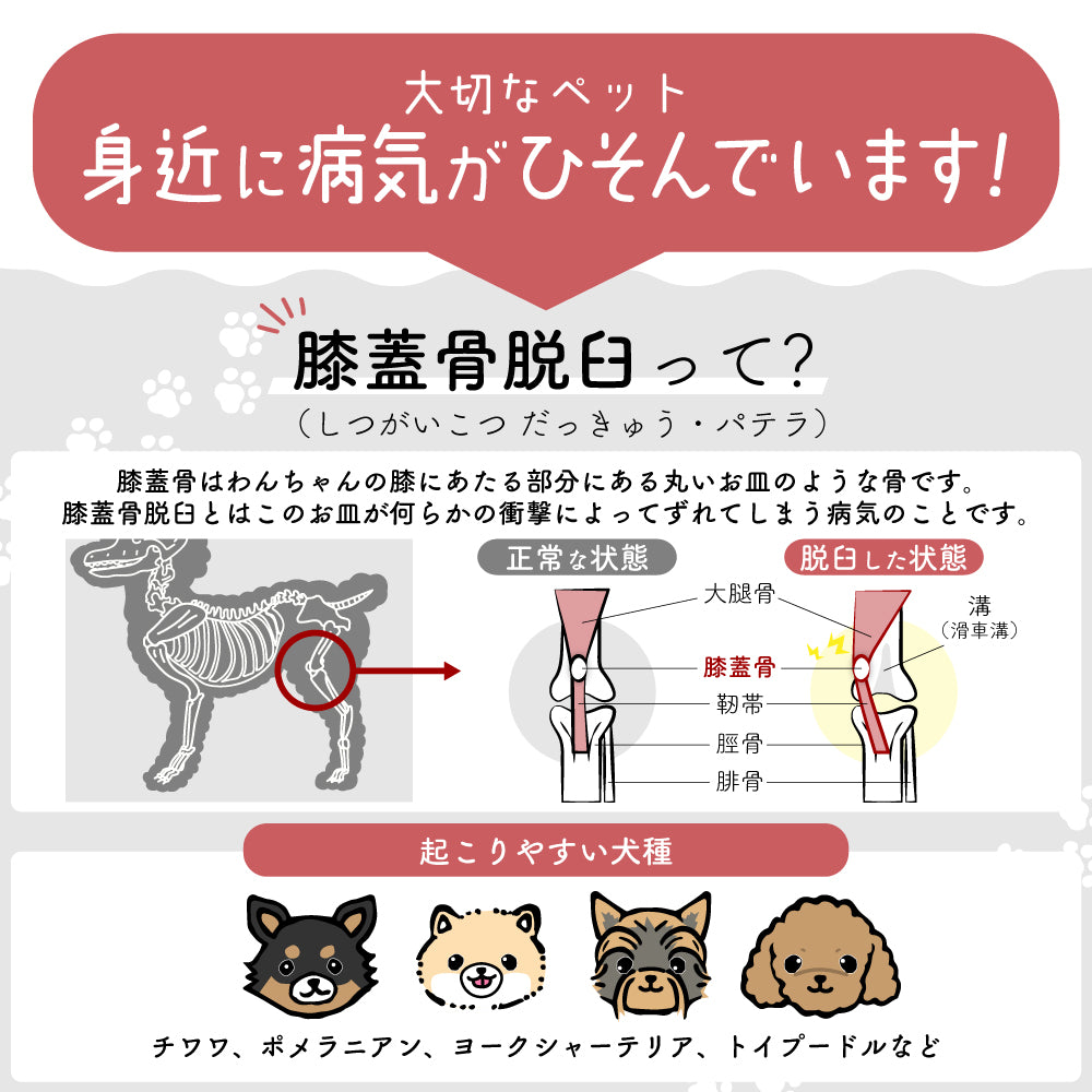 ドッグステップ 3段 ペット ステップ 犬 階段 犬用ステップ ペットスロープ らくだん