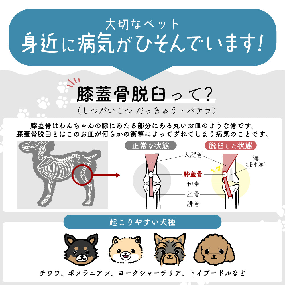 ドッグステップ 2段 ペット ステップ 犬 階段 犬用ステップ ペットスロープ えるだん