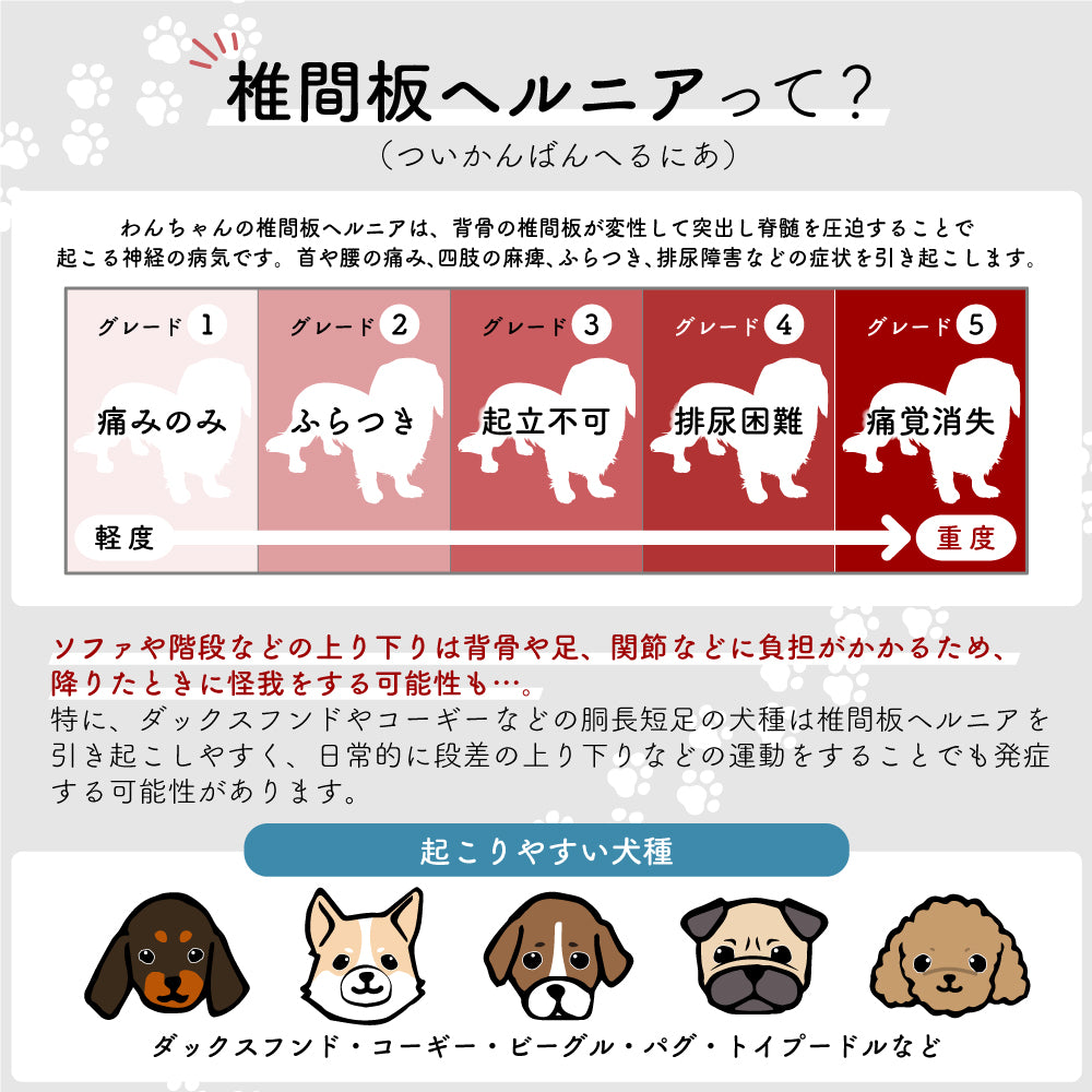ドッグステップ 2段 ペット ステップ 犬 階段 犬用ステップ ペットスロープ えるだん