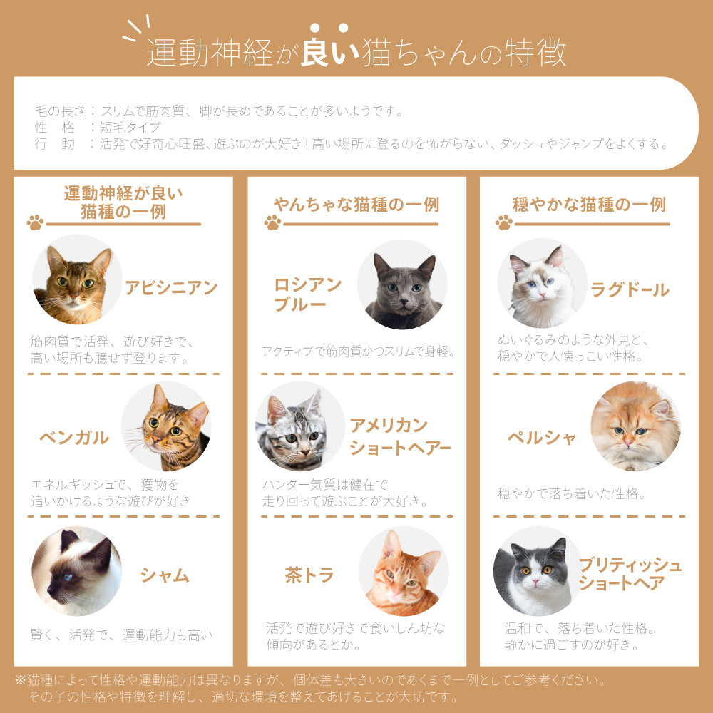 高さ186.5cm 猫 ゲート 脱走防止ゲート ハイタイプ ペットゲート ベビーゲート ネコ CATGATE 猫ゲート 柵 フェンス ぺットフェンス 広い ワイド 突っ張り